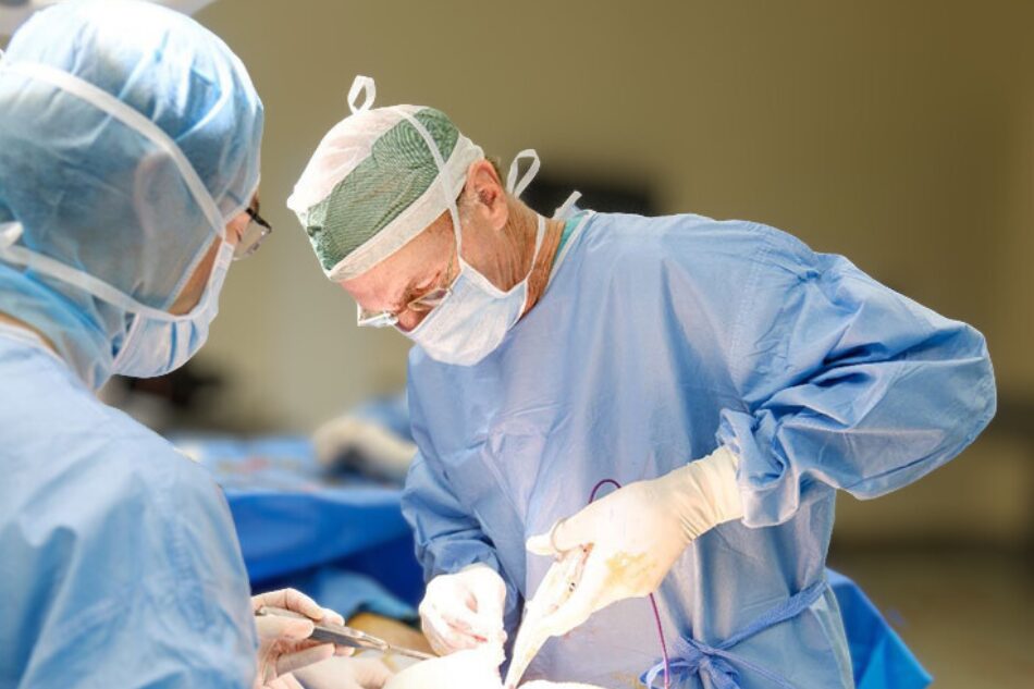 Dr McKinnon surgery